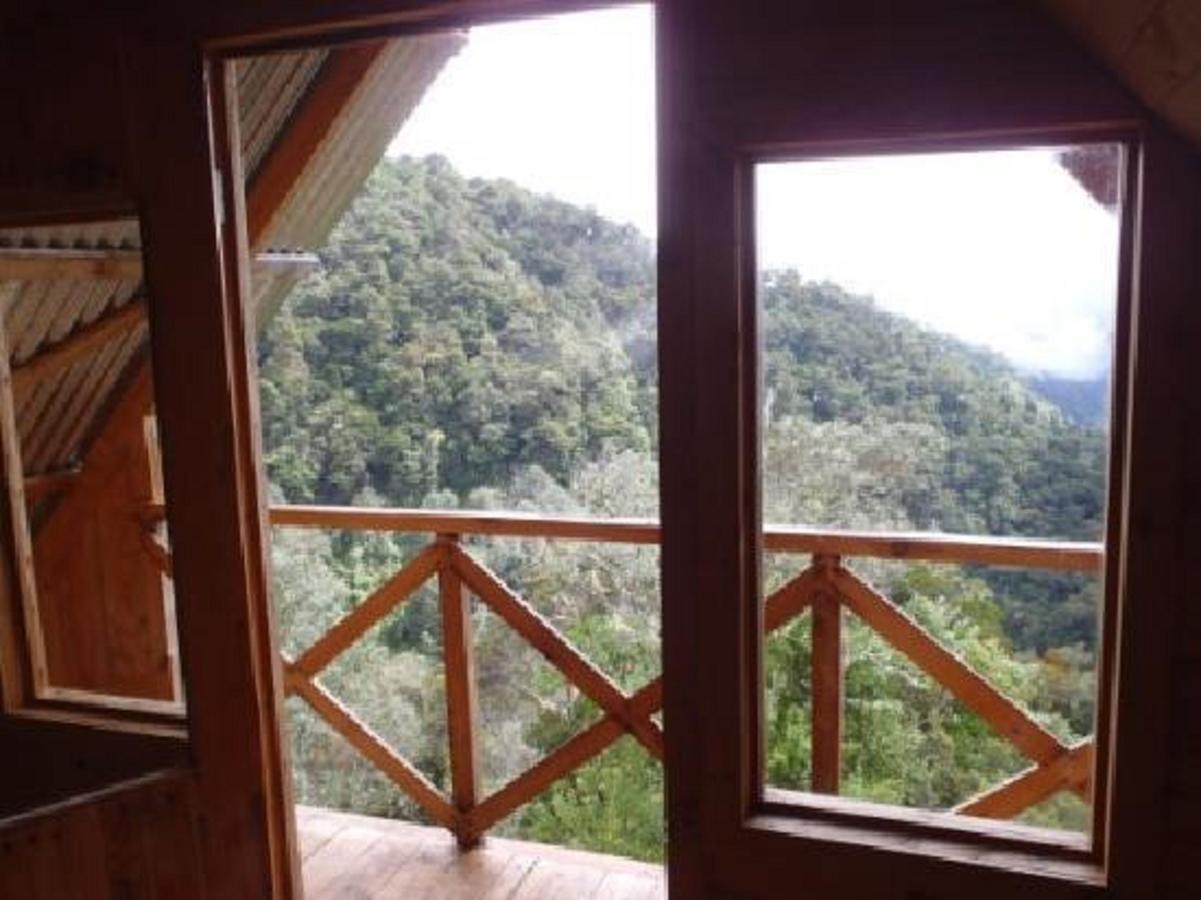Quetzal Valley Cabins San Gerardo de Dota Eksteriør billede